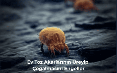 Astım Alerji Nem Alma Cihazı