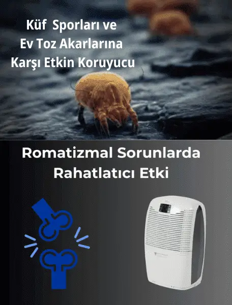 Küf sporları ve ev tozu akarlarına karşı etkili Ebac nem alıcı cihaz